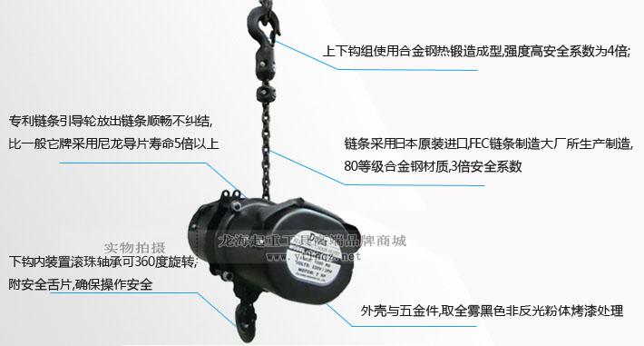 臺灣DUKE舞臺倒掛環(huán)鏈電動(dòng)葫蘆細(xì)節(jié)圖