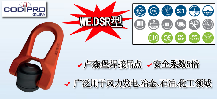 WE.DSR型盧森堡焊接吊點(diǎn)產(chǎn)品圖片